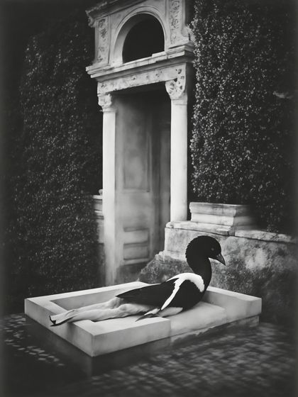 Black Swan - Can Akgümüş - Artist in Focus - May 2025